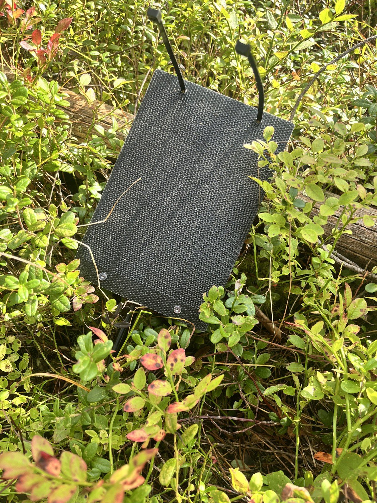 Kattavuussolmu metsässä. Täällä ei ole mäkiä, joten korkeus otetaan puusta.